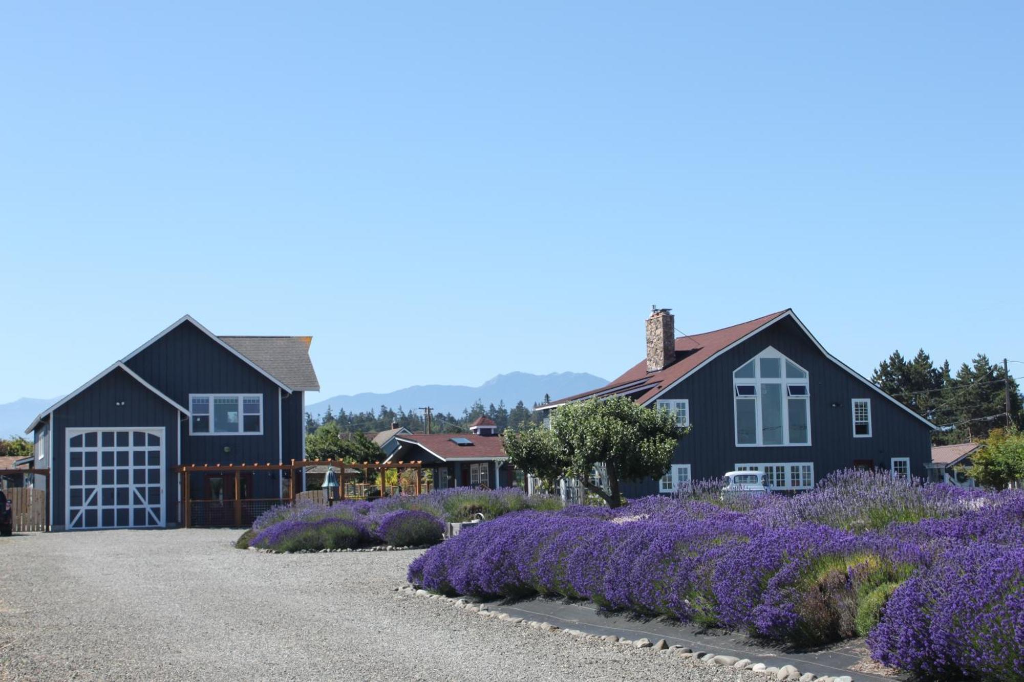 Dungeness Barn House Bed And Breakfast At Two Crows Farm ซีควิม ภายนอก รูปภาพ