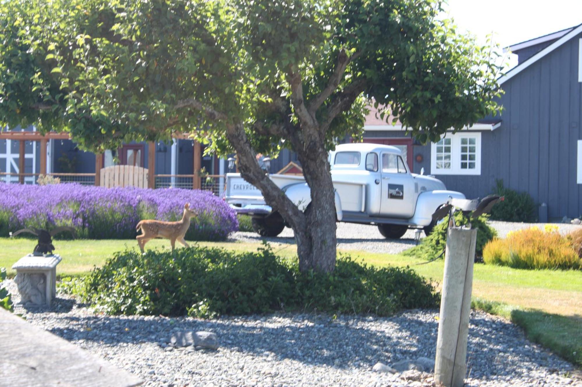 Dungeness Barn House Bed And Breakfast At Two Crows Farm ซีควิม ภายนอก รูปภาพ