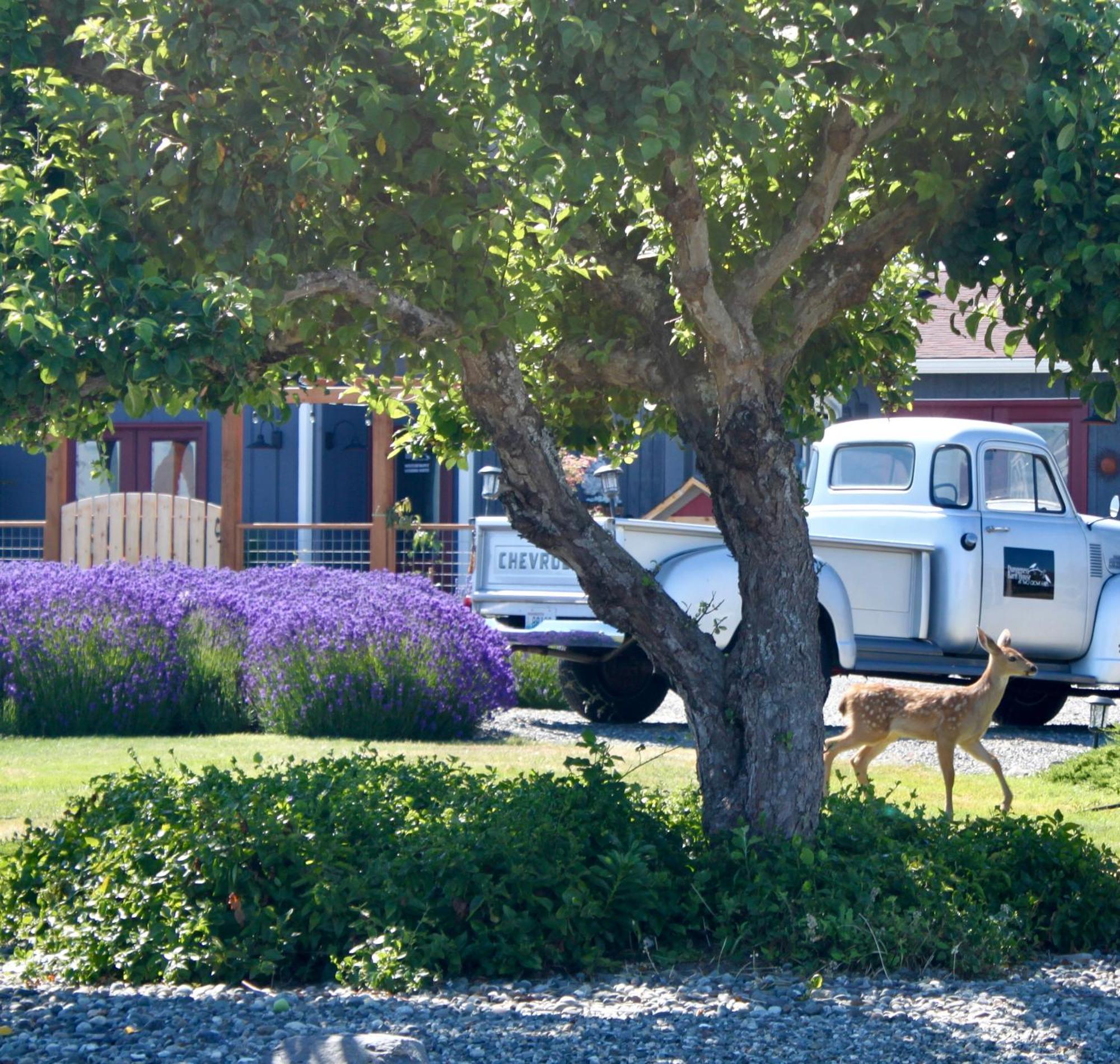 Dungeness Barn House Bed And Breakfast At Two Crows Farm ซีควิม ภายนอก รูปภาพ