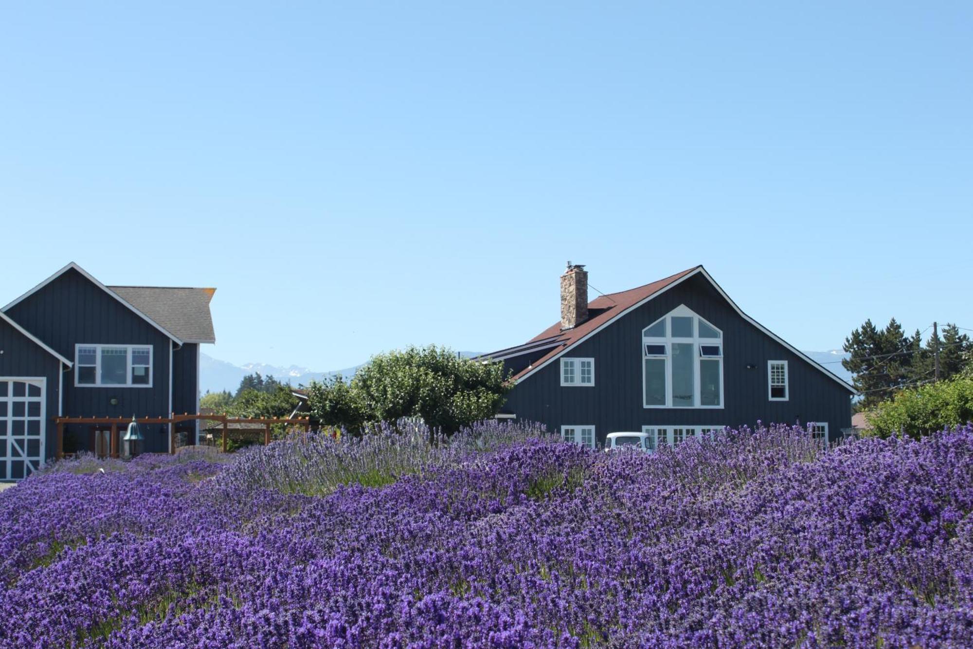 Dungeness Barn House Bed And Breakfast At Two Crows Farm ซีควิม ภายนอก รูปภาพ